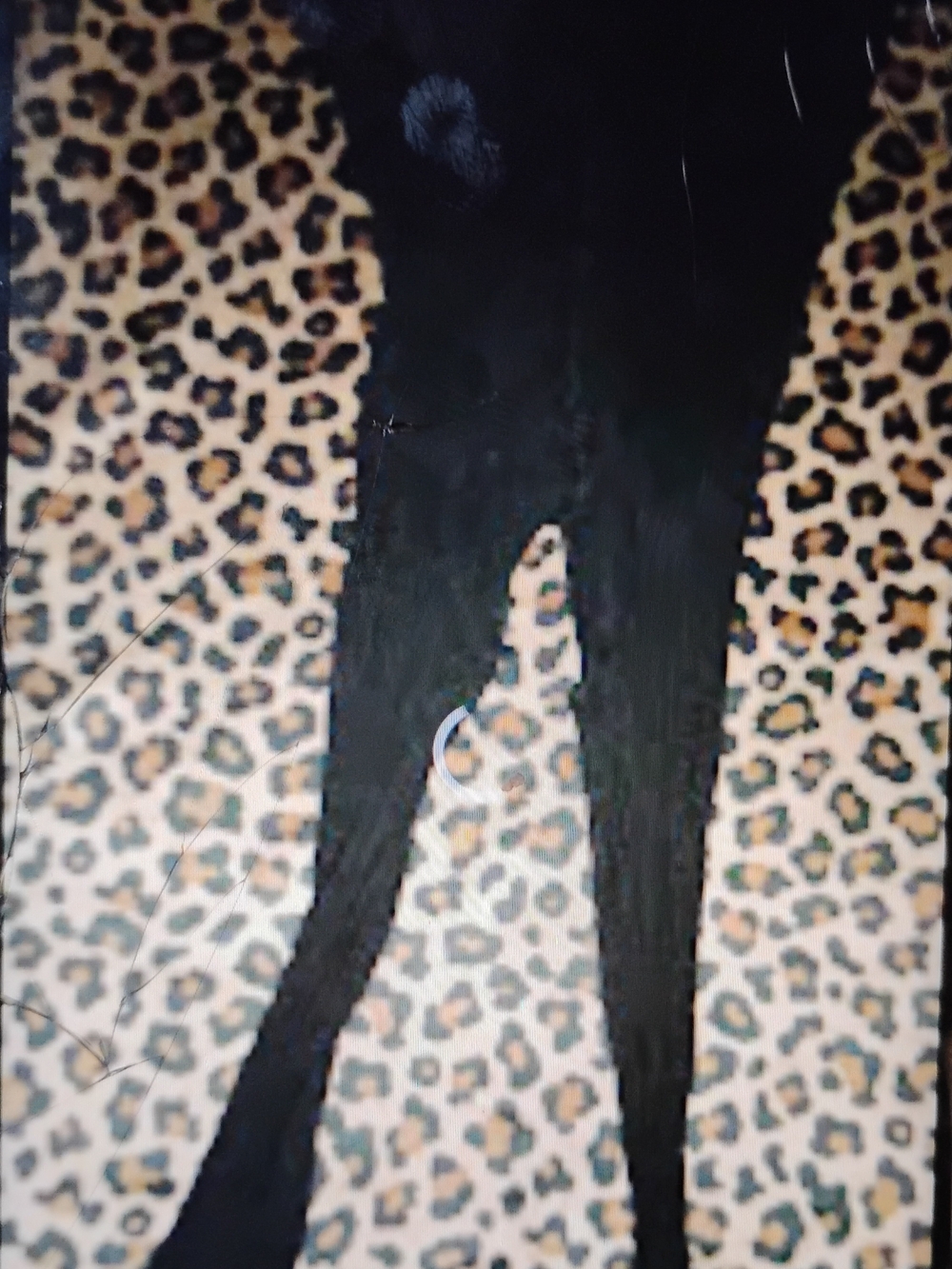 Black Women's Crotchless Pantyhose- Classic Black Hosiery